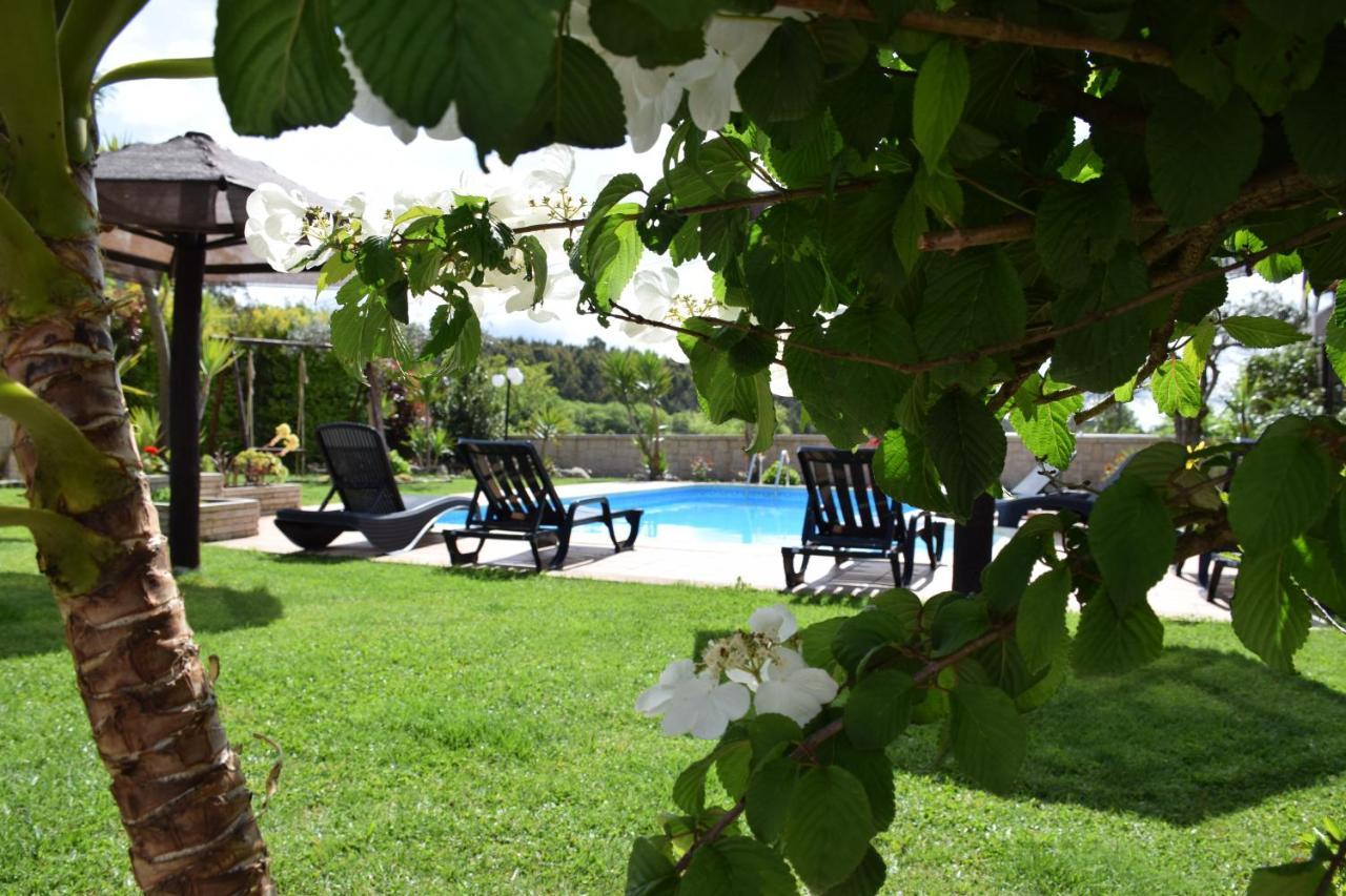 Alagoas4Family - Country House Arouca Exterior photo